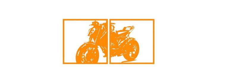 KTM Duke 790 890 wall art