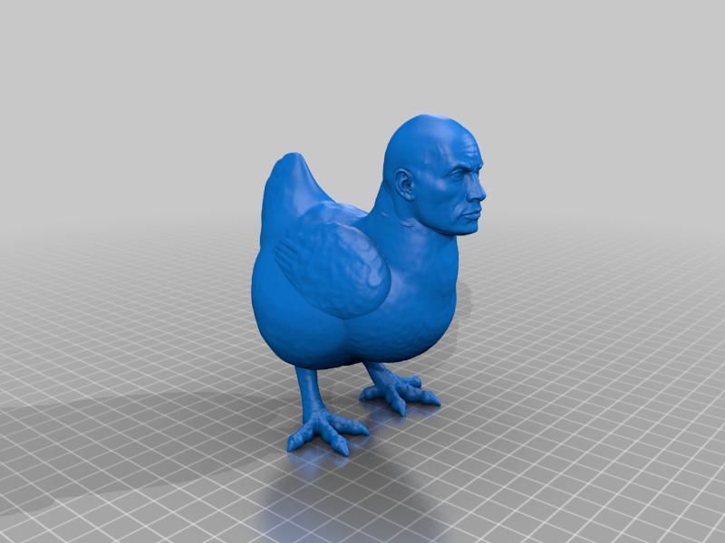 The rockadoodledoo (Dwayne the rock Johnson hybrid chicken)