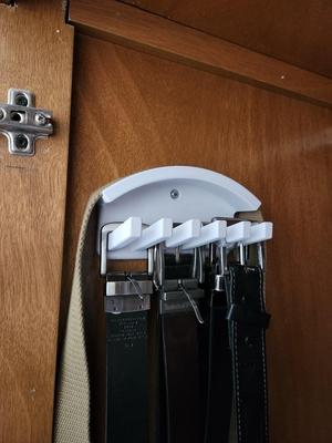Belt organizer