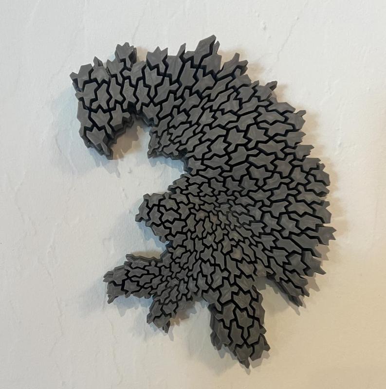 Vampire Aperiodic Tiling - Twisted Surface