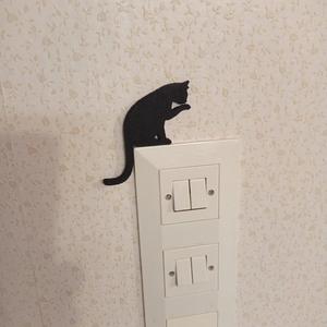 Cat on your light switch
