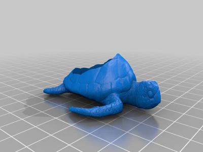 Sea Turtle Planter