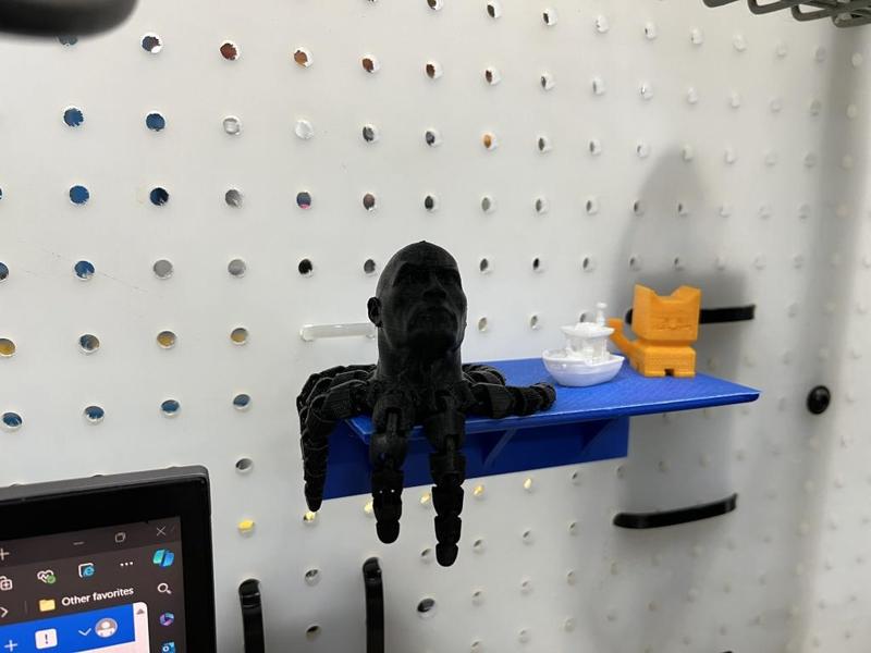 Pegboard Shelf (Surprisingly Strong) 