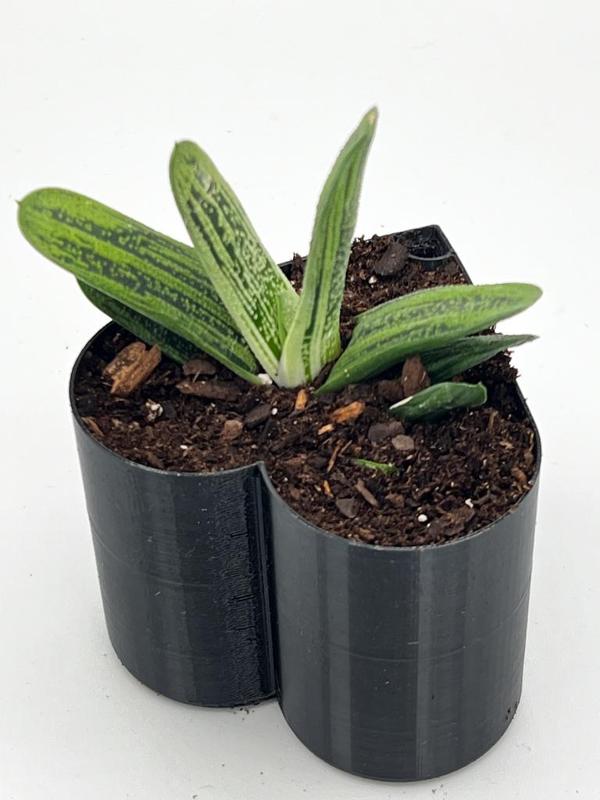 Valentines Heart Shaped Self Watering Planter