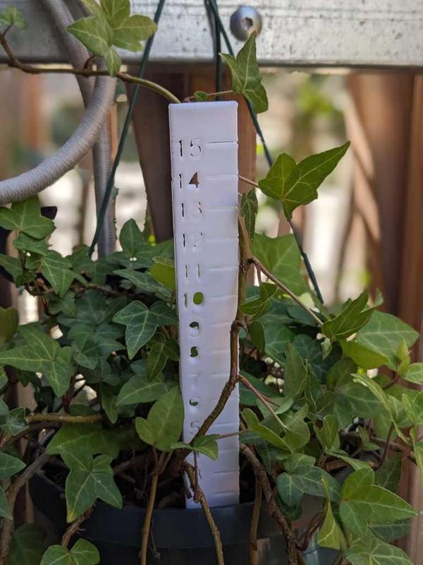 climbing plant measurer