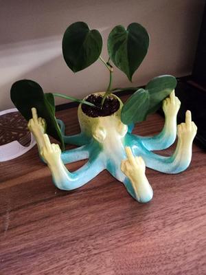 Rude Octopus planter with drain holes