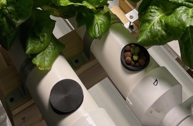 Hydroponic Blackout Hole Cap