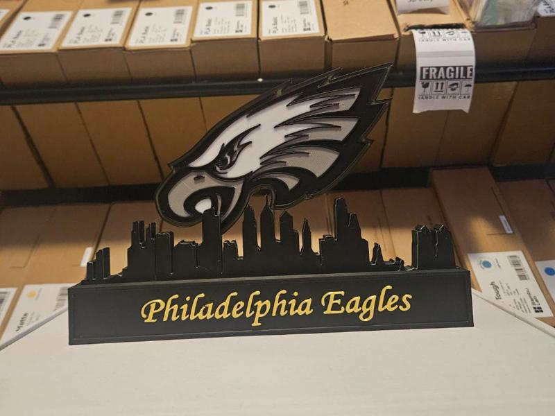 philadelphia eagles  skyline NFL 