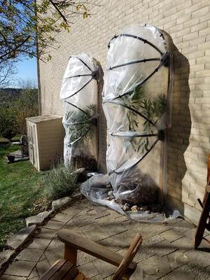 Cold Frame Structure