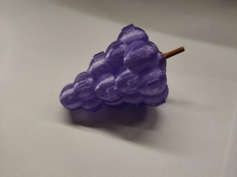 Grapes from roblox grow a garden game