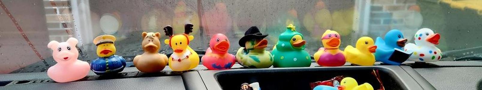 DuckieBar