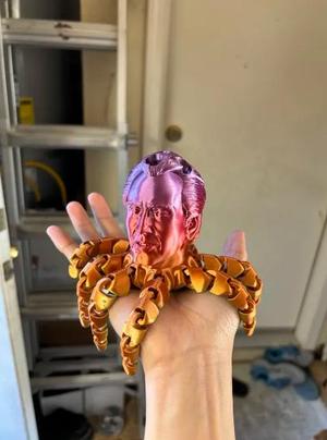 cagetopus - articulated