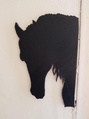 shadow of a horse and a dog