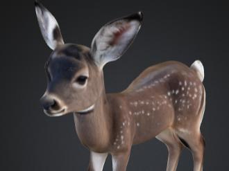 Last filament bambi