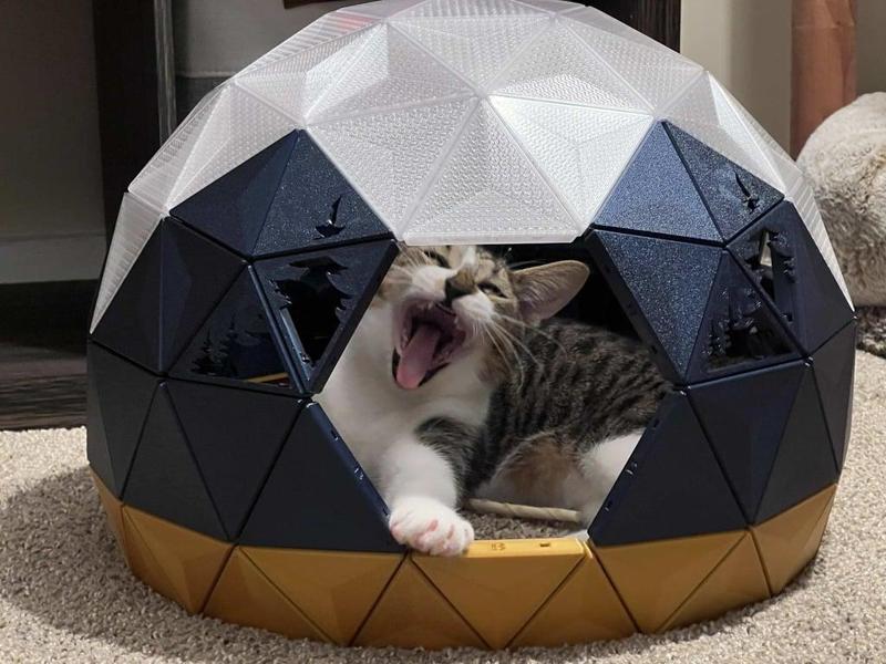 Geodesic Dome Cat House - Pine Tree Cutouts