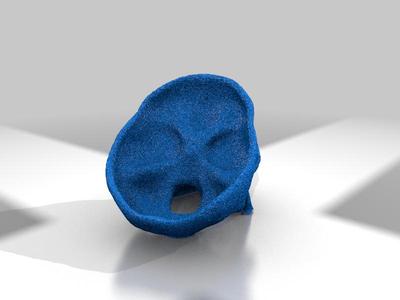 3D scan skull