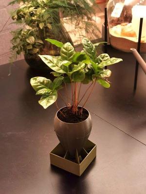 Atomic Planter