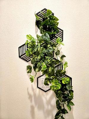 Hexagon Wall Art   