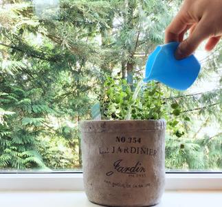 Small Modern Watering Can