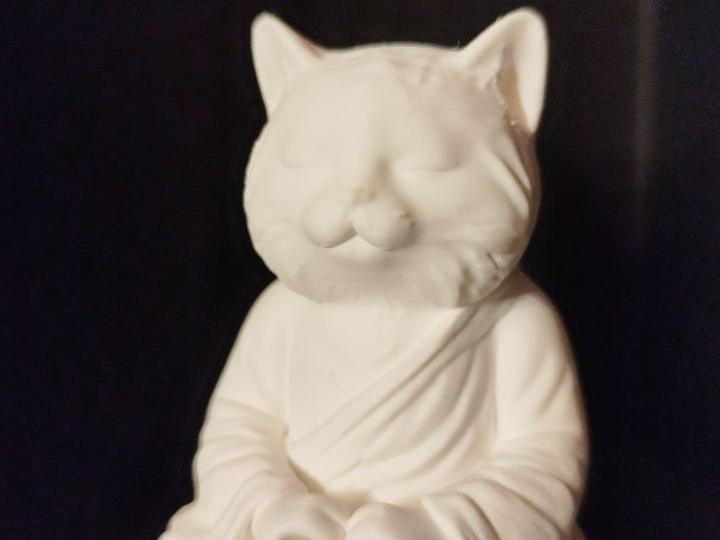 Cat Buddha