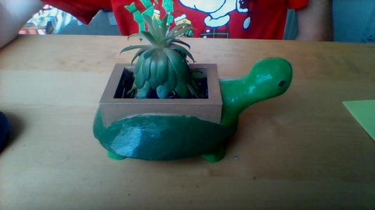 turtle pot