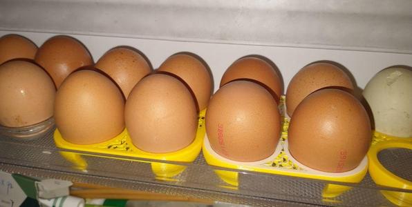 Egg tray