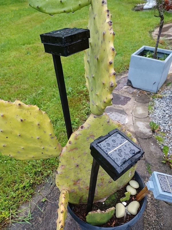 Solarlampe/Gartenlicht