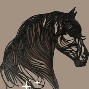 Wall Art - Horse Head