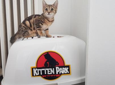 Kitten Park