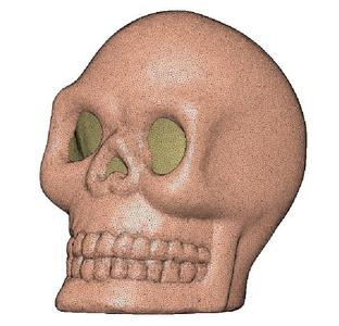 Skull / Human Skull / Halloween Skull / Hollow Skull