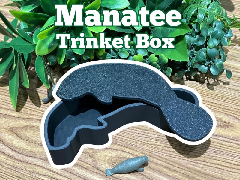 Manatee Trinket Box