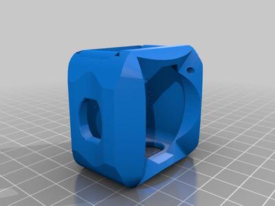 DJI Action 2 Go Pro mount