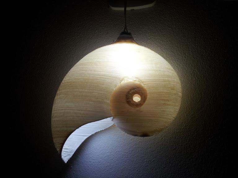 LAMP NAUTILUS