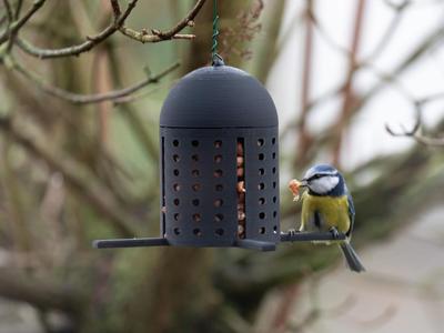 Bird feeder