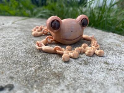 Frog