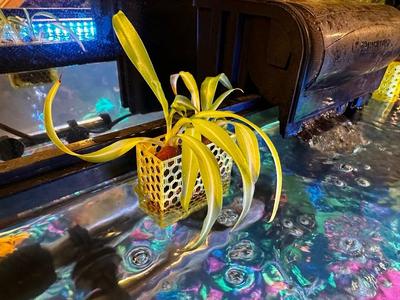 Customizable Aquarium Planter