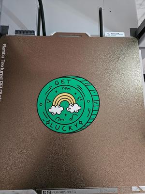 St Patricks Day Coin