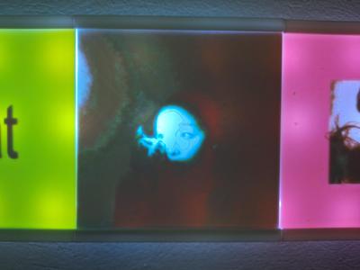 eternal sunshine: brighter days v1 | Lithophane