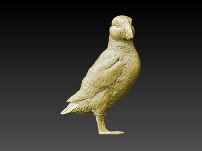 Atlantic Puffin model