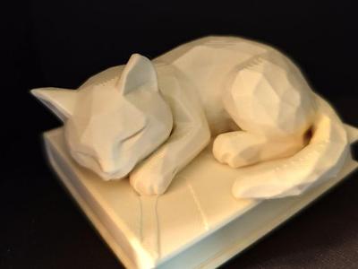 Polycat on the book 