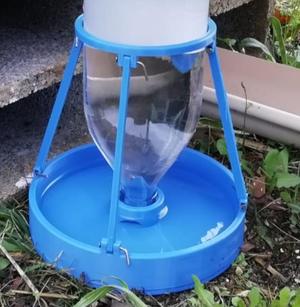Drinking trough for animals (hens ...)