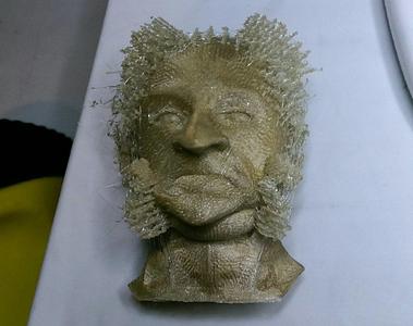 Mr. Hairy Muttonchop