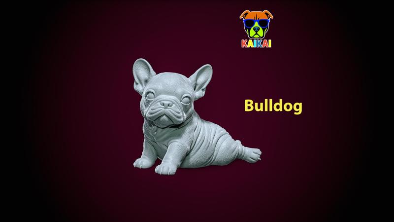 Bulldog model - america bully dog - 3D print