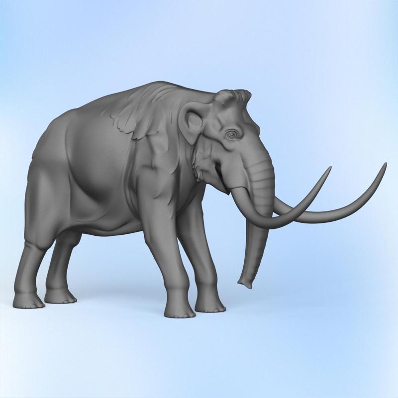 Wild Elephant
