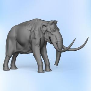 Wild Elephant