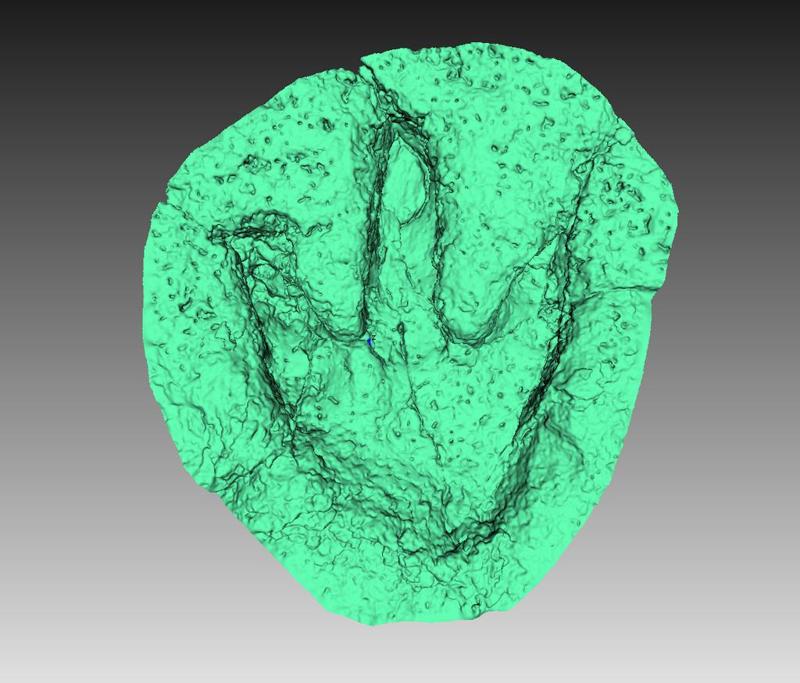 Glen Rose Dinosaur Track