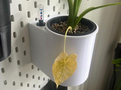Skadis Self-Watering Pot