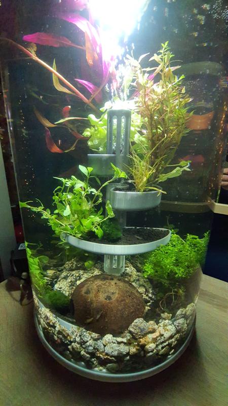 Modularized terrace system for biOrb fish tank