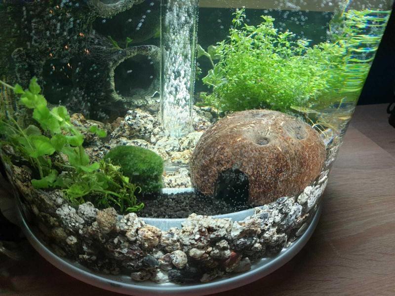 Soil tank for biOrb Tube 30