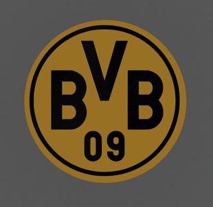 Borussia Dortmund coaster